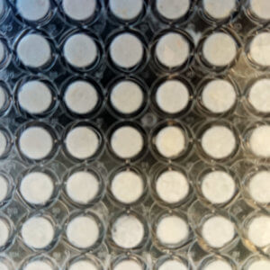 Porous Scaffold-Loaded Multi-Well Plates