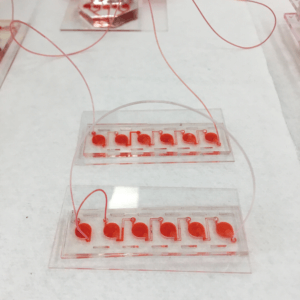 Microfluidic Products